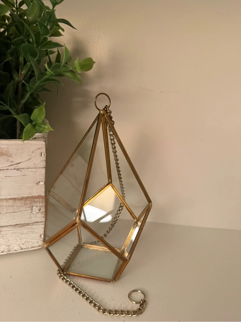 Geometric Triangle Glass Terrarium Hanging Planter for Succulents & Air Plants